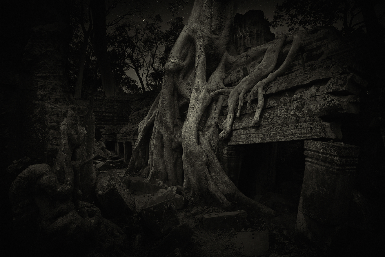 Strangler Fig 2 Ta Prohm Temple